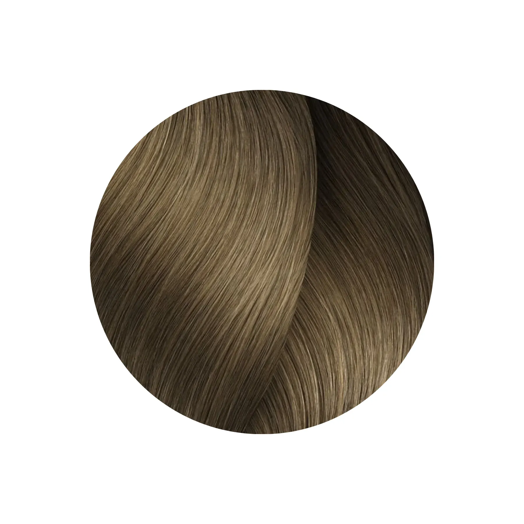 MAJIREL 8 -1-